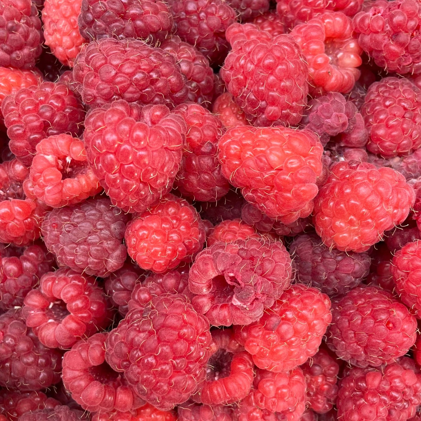 Epres, málnás vagy sárgabarackos leveles süti