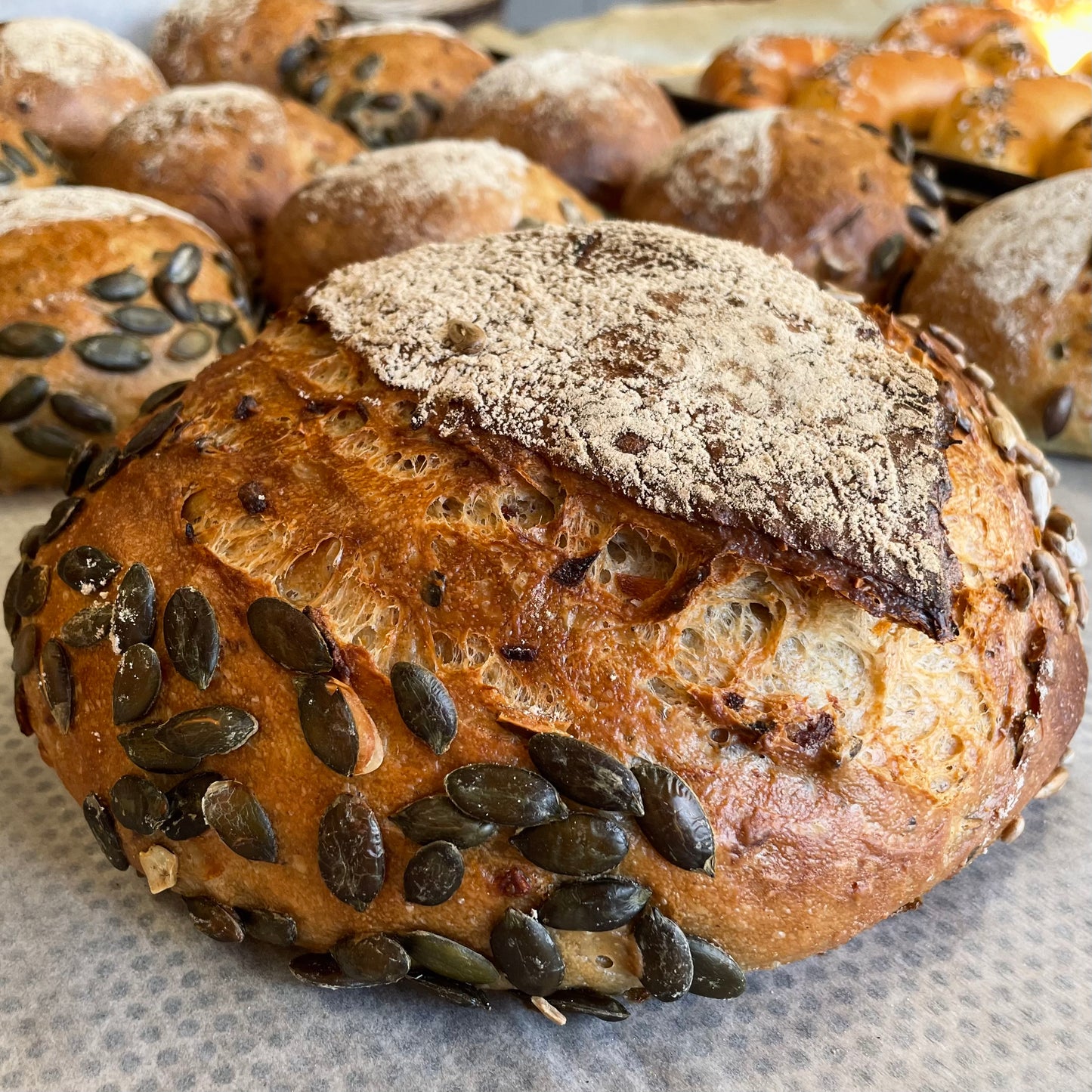 Tökmagos kovászos buci